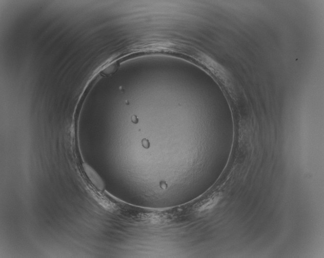 X0000076381234200610061116