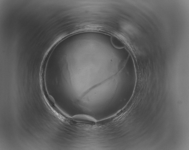 X0000076381235200610061116