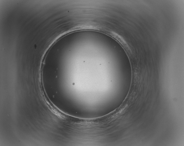 X0000076381236200610061116