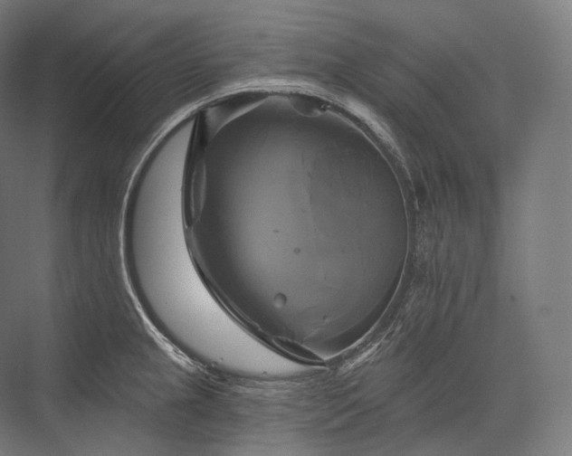 X0000076381237200610061116