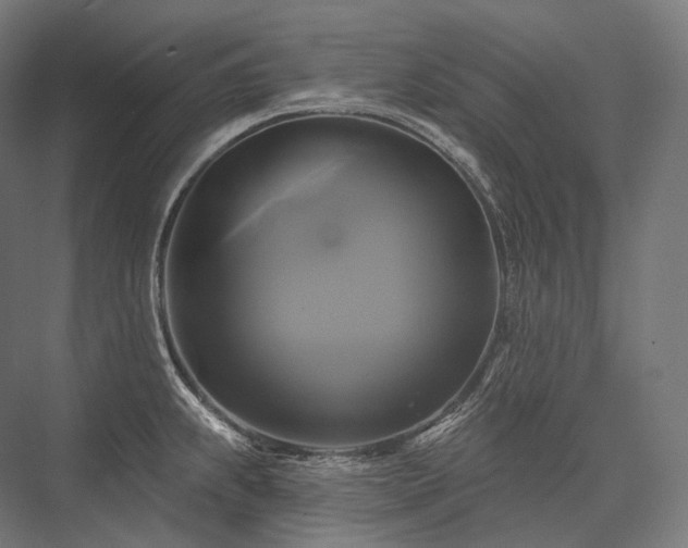 X0000076381239200610061116