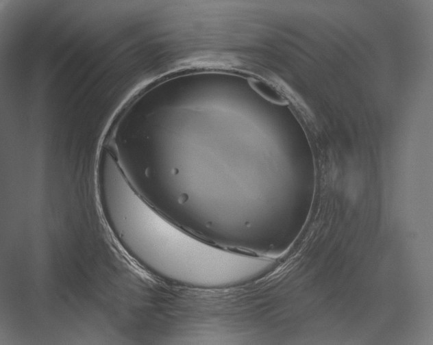 X0000076381240200610061116