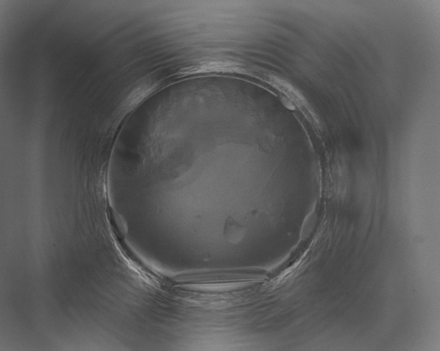 X0000076381241200610061116