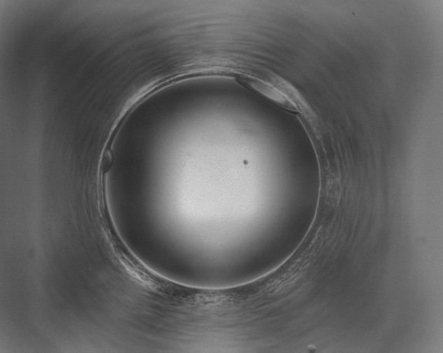 X0000076381242200610061116