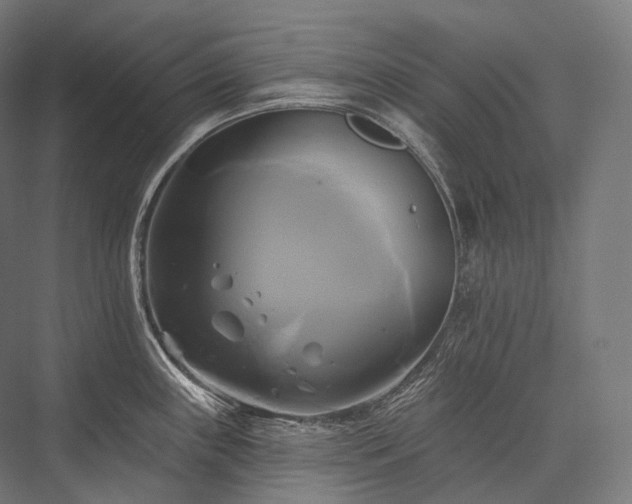 X0000076381243200610061116