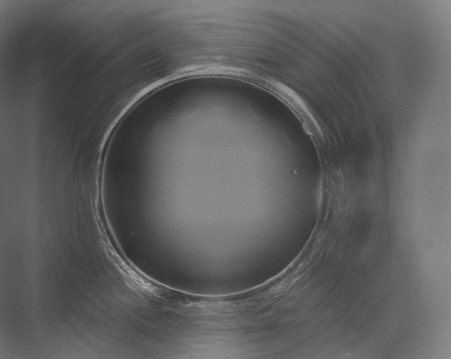 X0000076381244200610061116