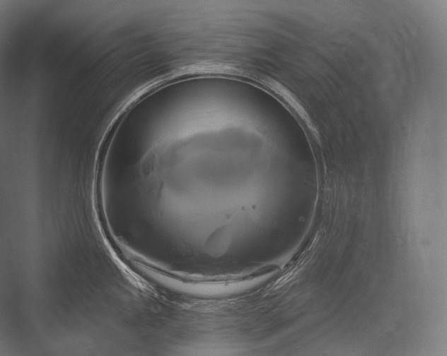 X0000076381245200610061116