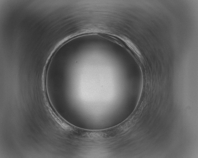 X0000076381246200610061116