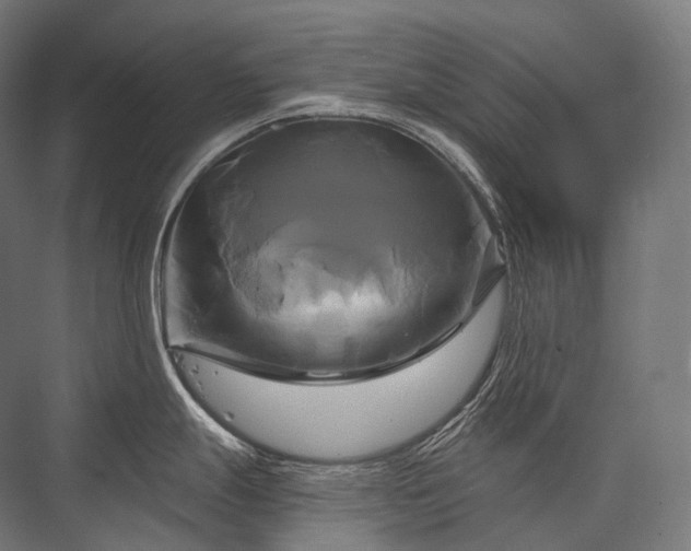 X0000076381247200610061116