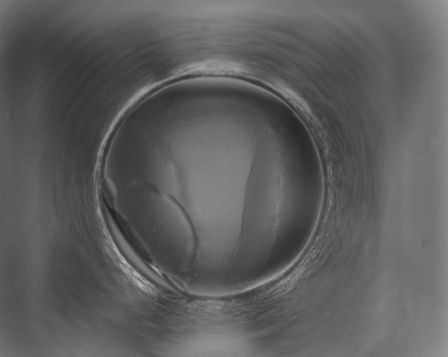 X0000076381248200610061116