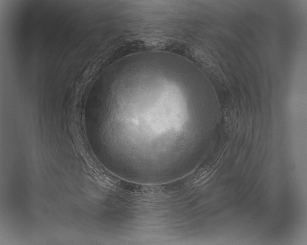 X0000076381249200610061115