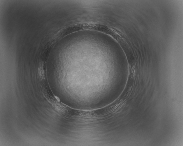 X0000076381252200610061115