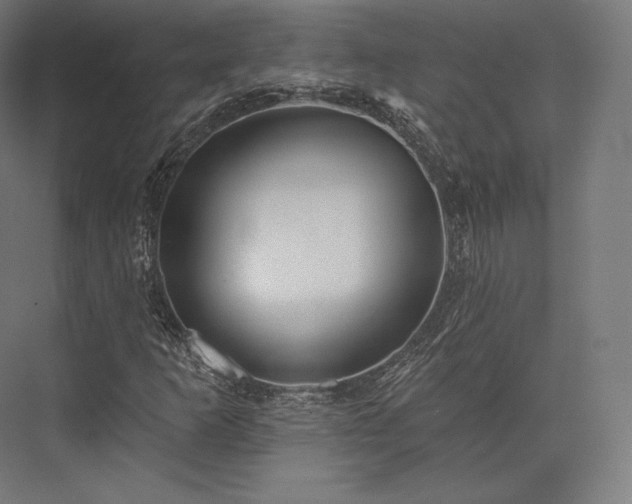 X0000076381253200610061115