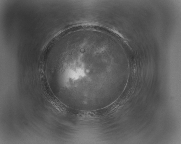 X0000076381255200610061115