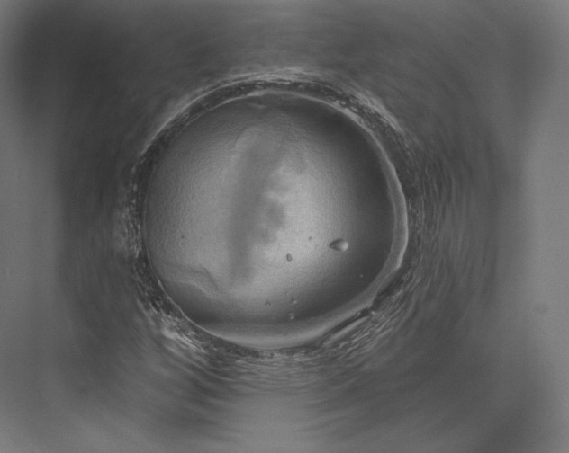 X0000076381256200610061115