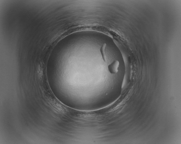 X0000076381257200610061115