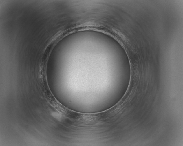 X0000076381258200610061115