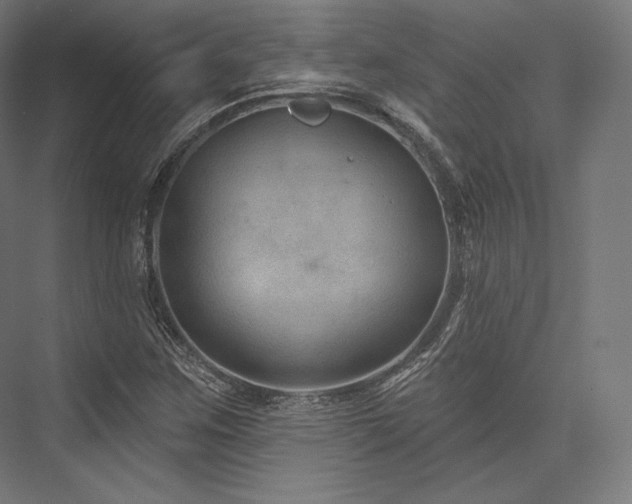 X0000076381259200610061115