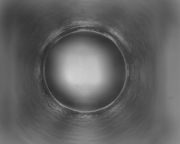 X0000076381261200610061115