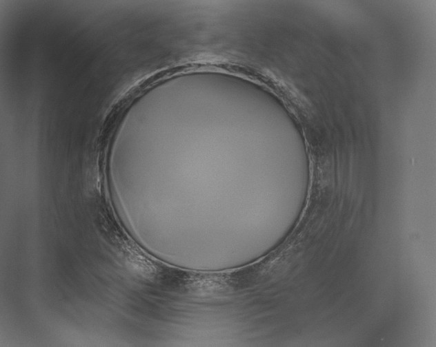 X0000076381262200610061115