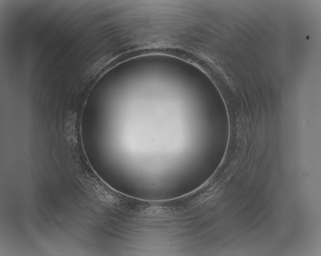 X0000076381265200610061115