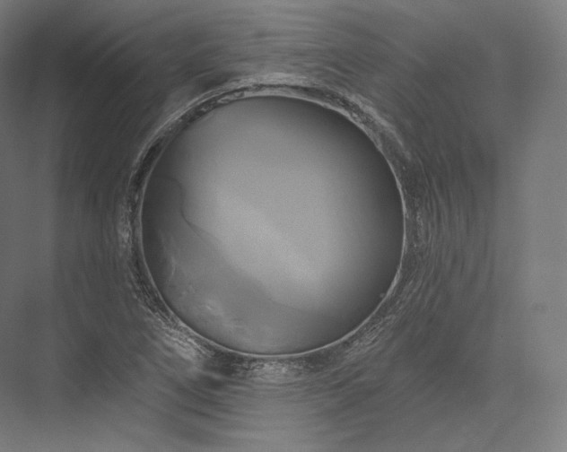 X0000076381266200610061115