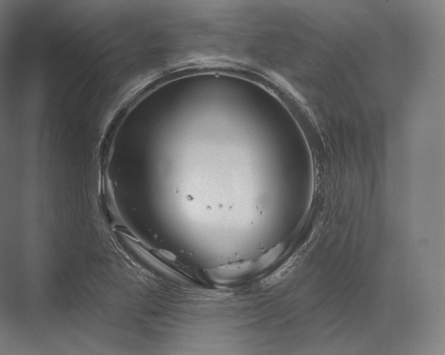 X0000076381269200610061115