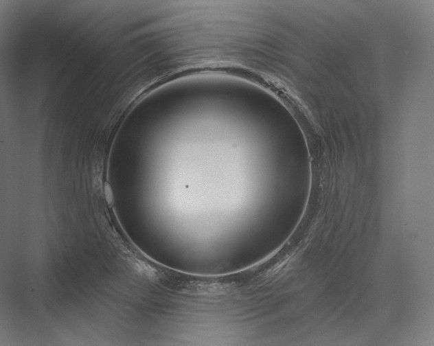 X0000076381273200610061115