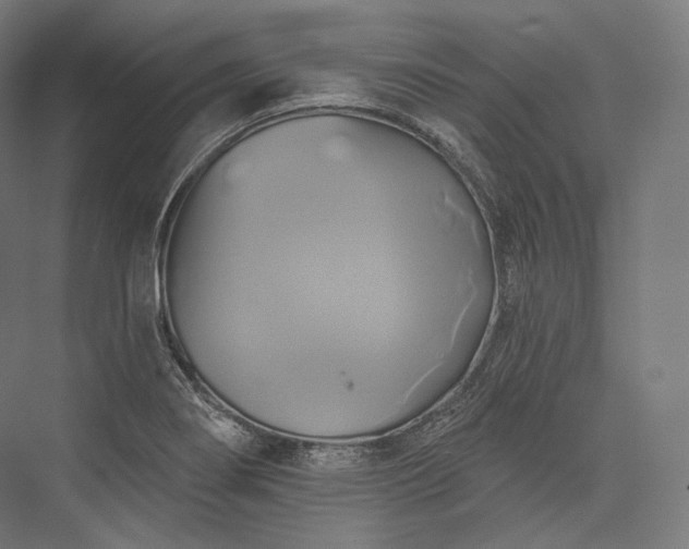 X0000076381274200610061115