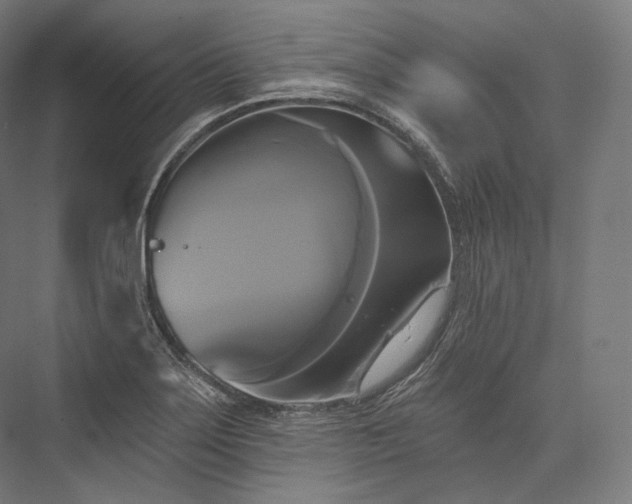 X0000076381275200610061115