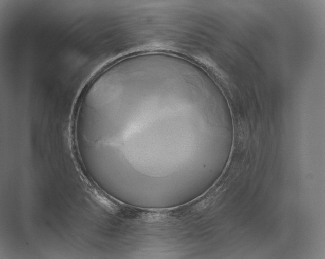 X0000076381278200610061115