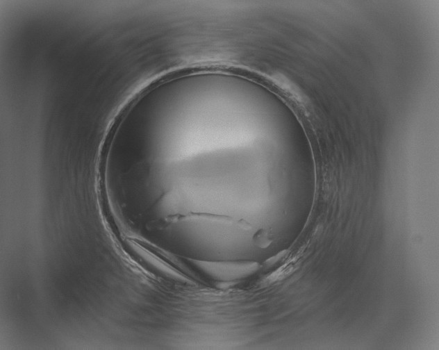 X0000076381279200610061115