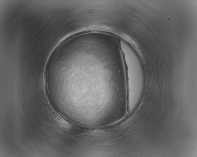 X0000076381280200610061115