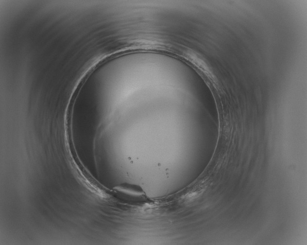 X0000076381283200610061115