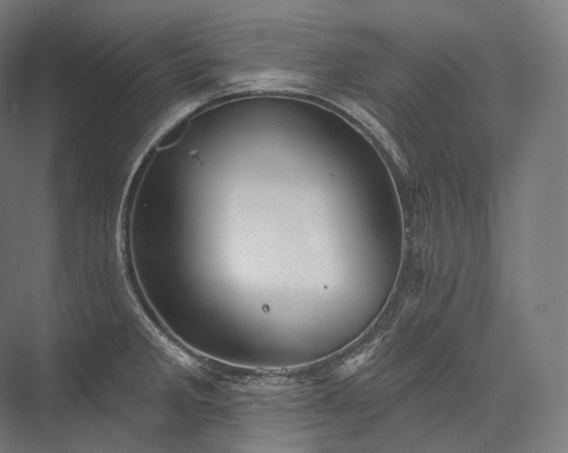 X0000076381285200610061115