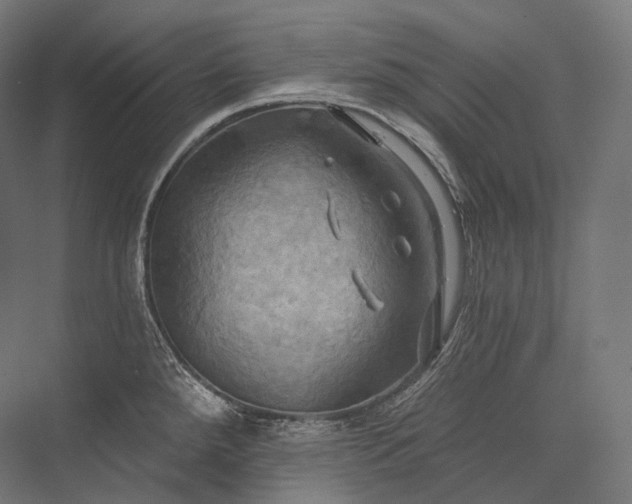 X0000076381288200610061115