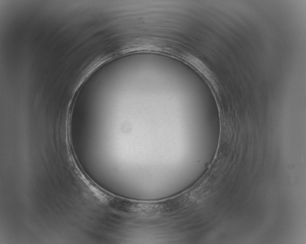 X0000076381290200610061115