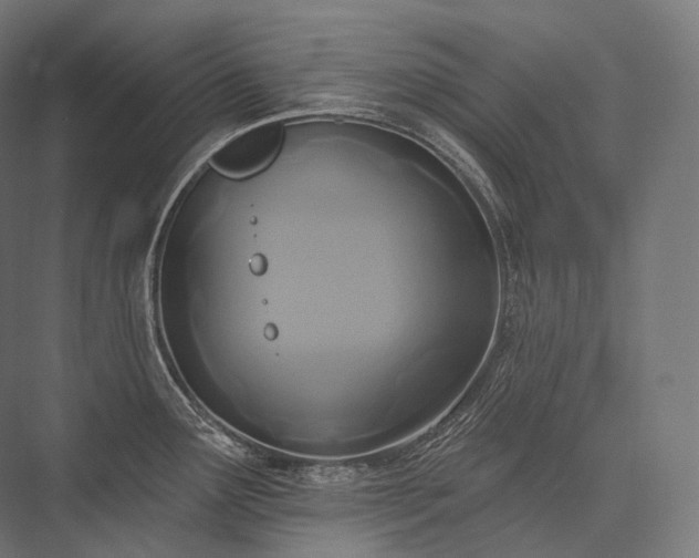 X0000076381291200610061115