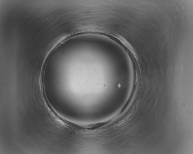 X0000076381293200610061115