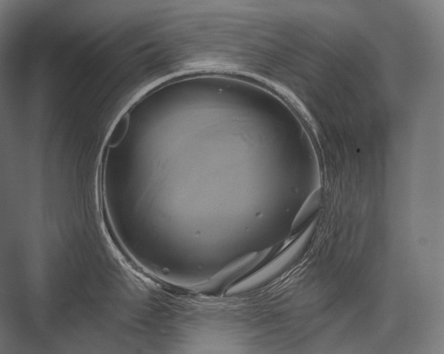 X0000076381295200610061115