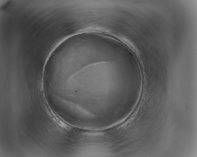 X0000076381296200610061114