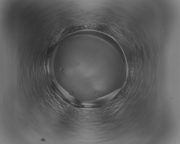 X0000076381298200610061114