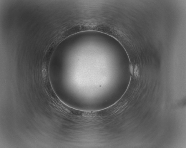 X0000076381299200610061114