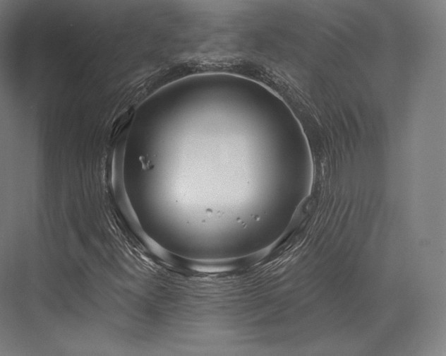 X0000076381300200610061114