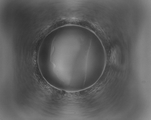 X0000076381301200610061114