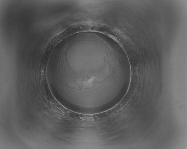 X0000076381302200610061114