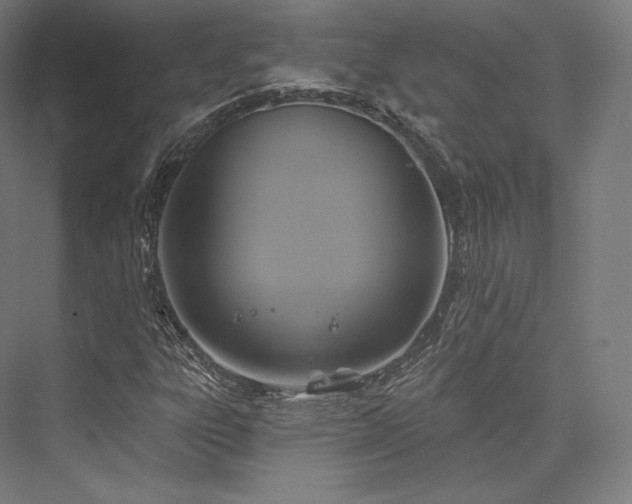 X0000076381303200610061114