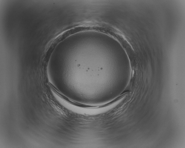 X0000076381304200610061114