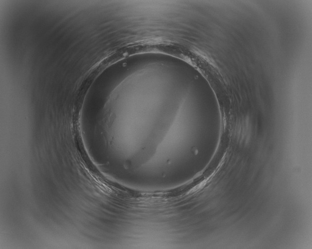 X0000076381305200610061114