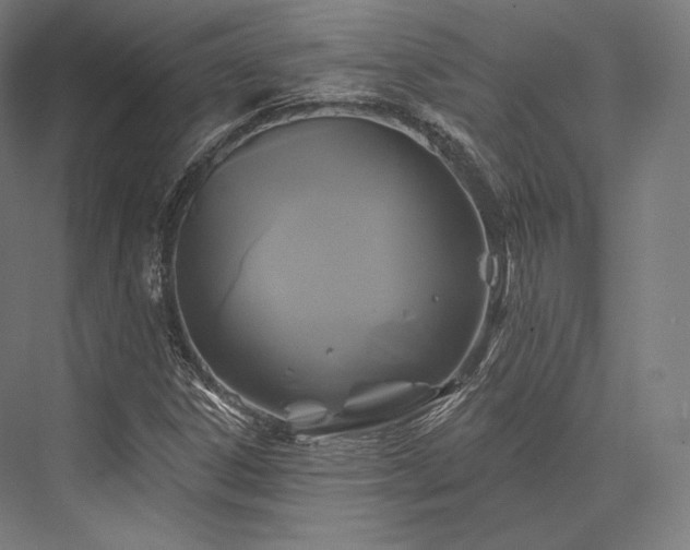 X0000076381306200610061114